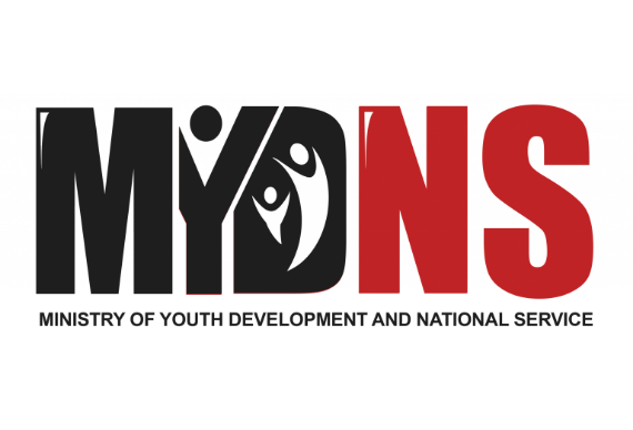 mydns logo